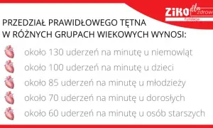 Prawidłowy puls: normy, pomiar i kiedy serce bije za szybko/wolno