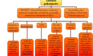Zatrucie: objawy i pierwsza pomoc co robić?