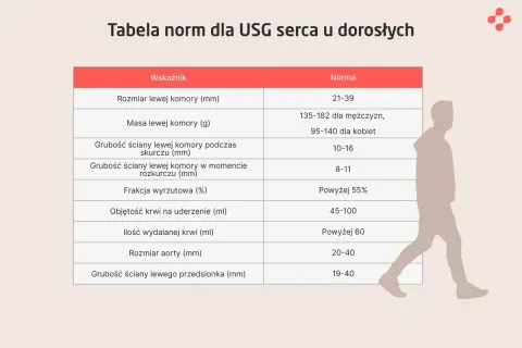 Tabela norm dla USG serca u dorosłych, prezentująca najdokładniejsze badanie serca. Wskazuje wymiary, masę i grubości ścian serca, frakcję wyrzutową, objętość krwi oraz rozmiar aorty.