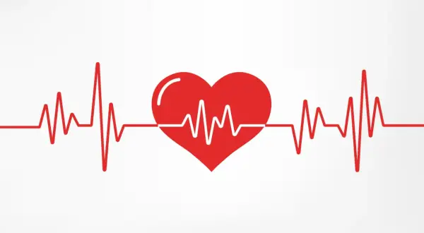 Czerwone serce z linią EKG na białym tle.